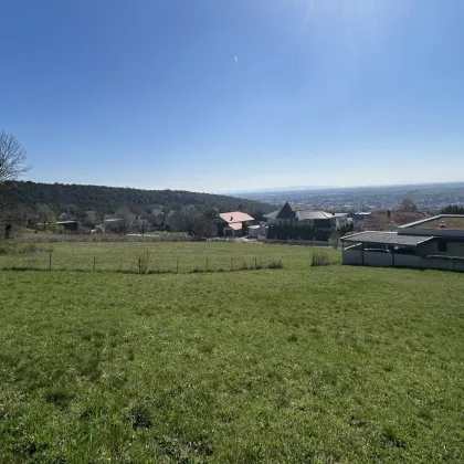 Baden Mitterberg Top Villengrundstück - Bild 3