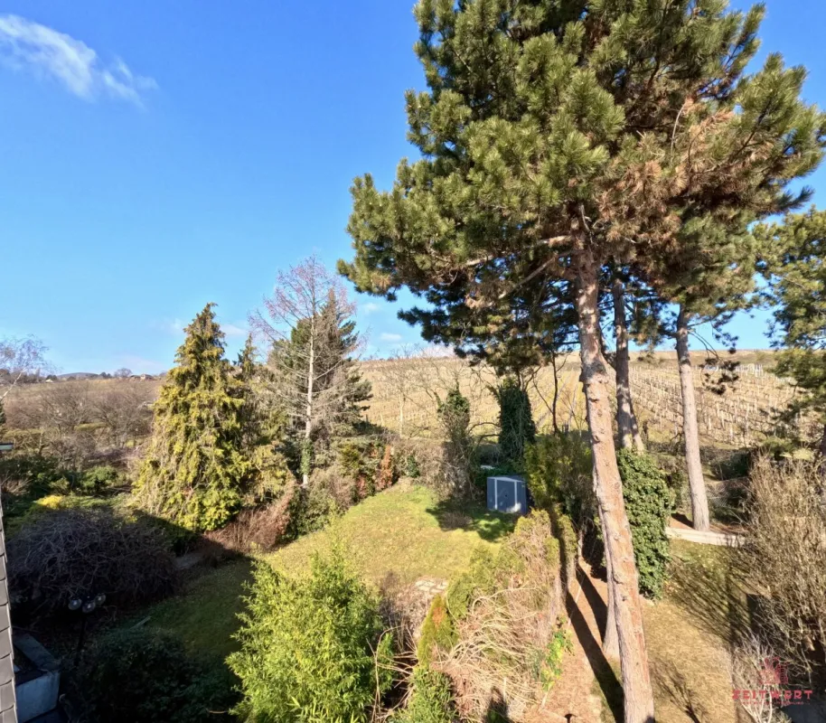 KOFFER PACKEN und EINZIEHEN - NUSSBERG - wunderschön gelegene Wohnung mit Dachterrasse und Blick über Wien und den Wiener Nussberg - Bild 1