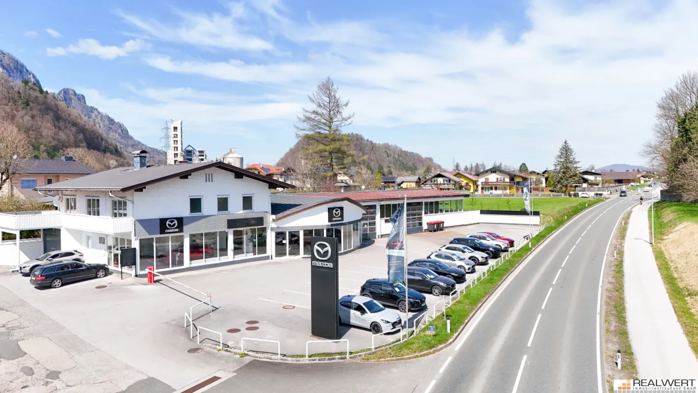 Multifunktionale Gewerbeflächen "Automotive" - Salzburg Süd | Hallein-Taxach - Bild 1
