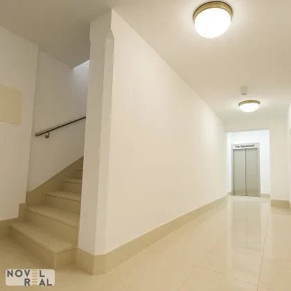 Exklusives Geschäftslokal in Toplage des 3. Bezirks – Rennweg - Bild 3