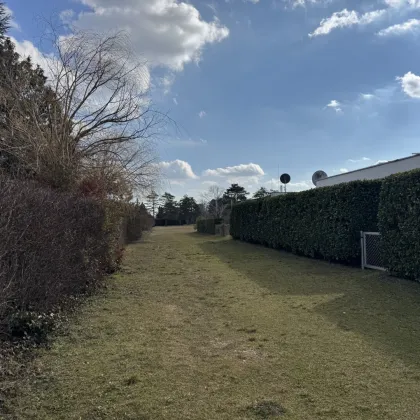 3-Zimmer Bungalow am Esterházysee – Ihr Rückzugsort mit Urlaubsflair! - Bild 3