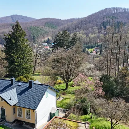 Wienerwaldvilla auf riesigem Grundstück in traumhafter Südlage am Sagberg - Bild 3