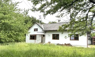Charmanter Dreikanthof in absoluter Alleinlage mit 5.076m² Bauland