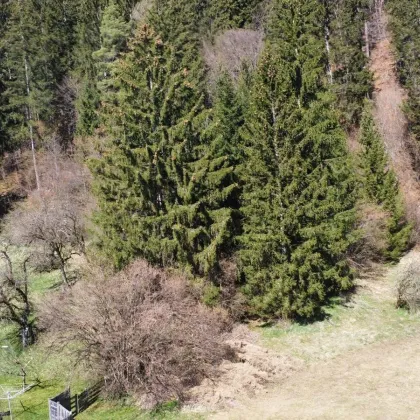 Große Grundstücke mit einer Immobilie samt Parkplatz - Bild 3