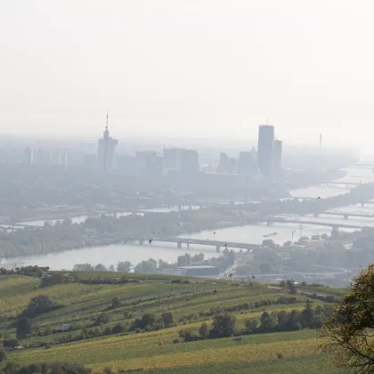 Idyllisch residieren in historischem Ambiente oben am Kahlenberg !  RARITÄT - Bild 2