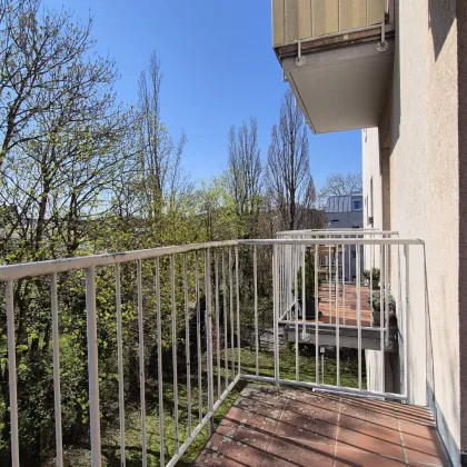 | ABSOLUTE RUHELAGE | BALKON INS GRÜNE | SANIERUNGSBEDARF | - Bild 2