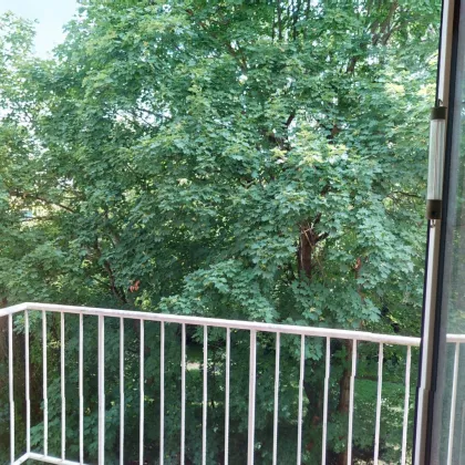 | ABSOLUTE RUHELAGE | BALKON INS GRÜNE | SANIERUNGSBEDARF | - Bild 3