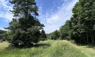 Bieterverfahren- Herrliches Grundstück im Wienerwald