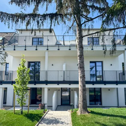 NEUER PREIS! Modernes Wohnen mit Altbauflair - Raumhöhen 3,08 M, Terrasse zum Garten mit Altbaumbestand - Top 4 (Top 3) - Bild 2