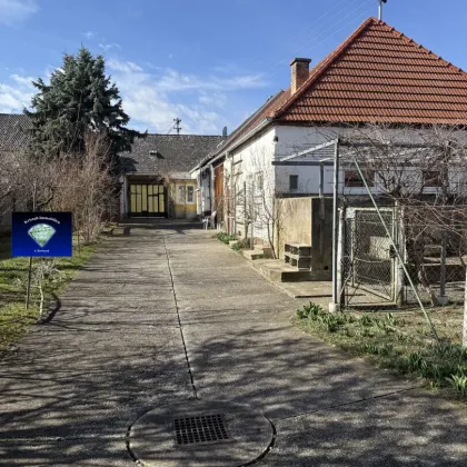 Lutzmannsburg einmalige Gelegenheit EFH mit vielen Garagen für Oldtimerfreunde-1238 - Bild 3