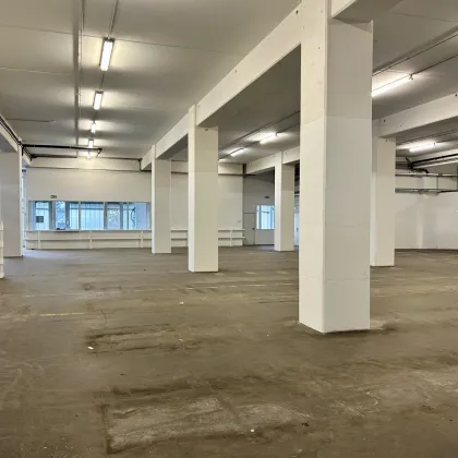 Großzügiges Lager in 1110 Wien – 1.690 m² – mit Expansionsmöglichkeit zu vermieten! - Bild 3