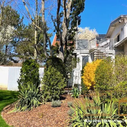 Wunderschönes Immobilien-Projekt. |pure_living. weinviertel with love. - Bild 2