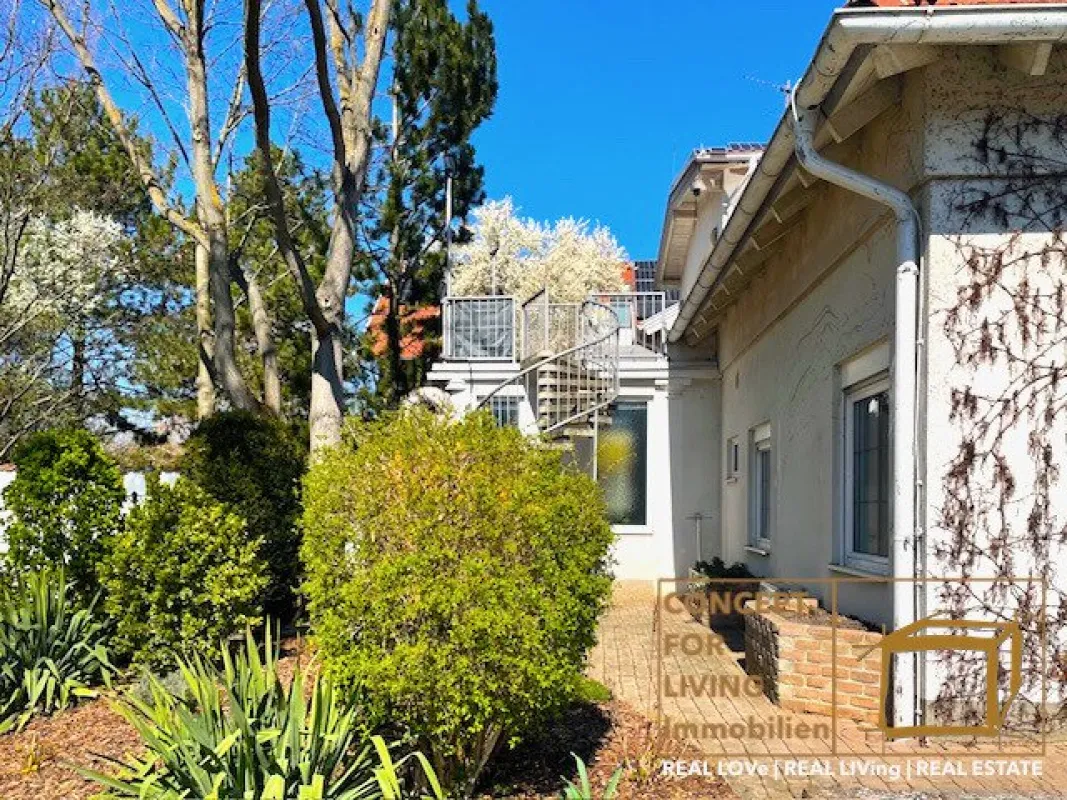 Wunderschönes Immobilien-Projekt. |pure_living. weinviertel with love. - Bild 1