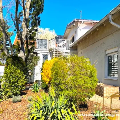 Wunderschönes Immobilien-Projekt. |pure_living. weinviertel with love. - Bild 3