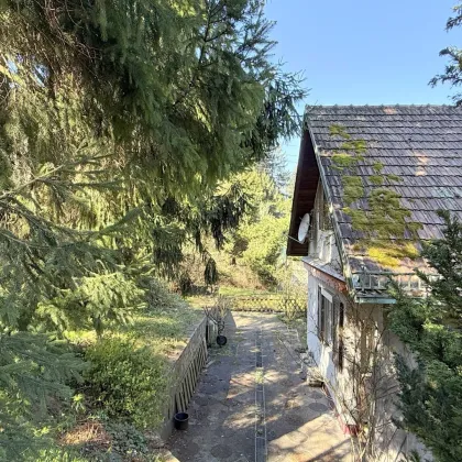 VERKAUFT - Retreat Forever – Wo die Seele Urlaub macht! - Bild 3