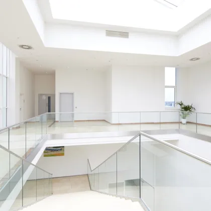 * BÜROFLÄCHEN IN PREMSTÄTTEN -  können einzeln als auch gesamt gemietet werden * - Bild 2