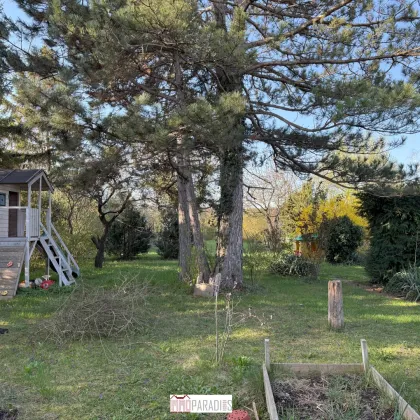 Tribuswinkel: Baugrund für Ihr neues Zuhause – 931 m² - Bild 2