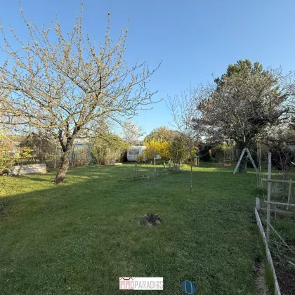 Tribuswinkel: Baugrund für Ihr neues Zuhause – 931 m² - Bild 3