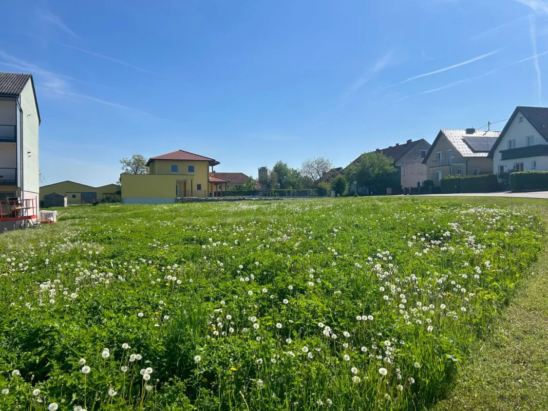 Traumhaftes Grundstück in Ansfelden: 935m² für 359.000 € – Ihr Bauplatz wartet! - Bild 1