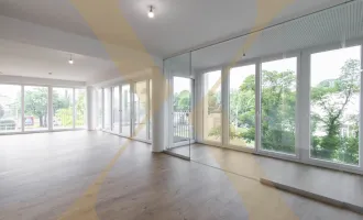 Lichtdurchflutete 2-Zimmer-Wohnung mit Loft-Flair und großzügiger Terrasse in Linz nähe Wifi zu vermieten! (Top 65)