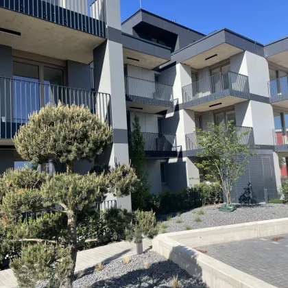 Bel AIR Premium Garden Suites - 15 Minuten zur U1 Station! Ruhelage PUR - Bild 3