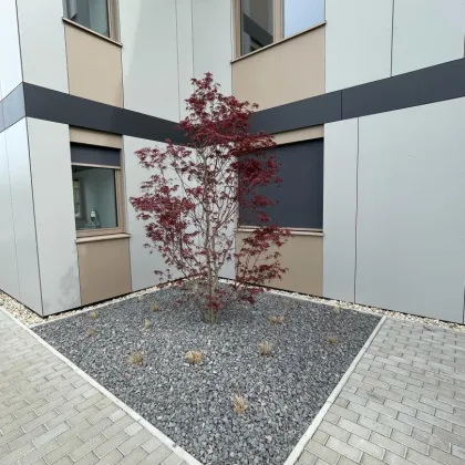 STADT-LAND-FLUSS - Bel AIR Premium Garden Suites - JETZT ANFRAGEN! - Bild 2