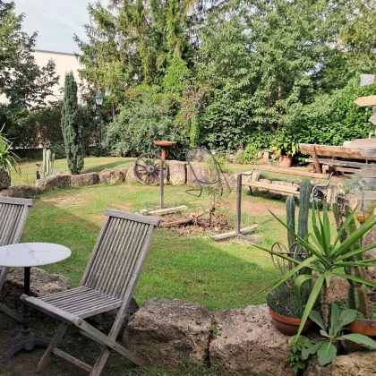 Attraktive Gastronomie- und Wohnimmobilie in Felixdorf - Bild 2