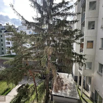 Unsanierte 1-Zimmer-Wohnung nähe Quellenstraße / Neilreichgasse! - Bild 3
