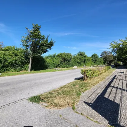 Attraktive Gewerbefläche in Langenzersdorf: zu mieten! - Bild 2