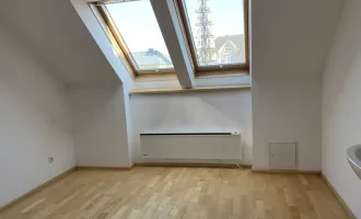 Geräumige Praxis/Ordination mit Garten, auch als Wohnung oder Büro zu mieten