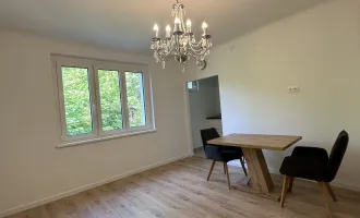 Renovierte 1-Zimmer-Wohnung in Mödlings Bestlage