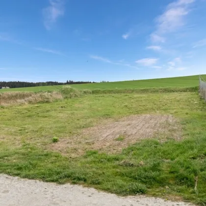 Traumhaftes unverbaubares Baugrundstück in Pennewang/Wiesham – 888m² für Ihr Eigenheim! - Bild 2