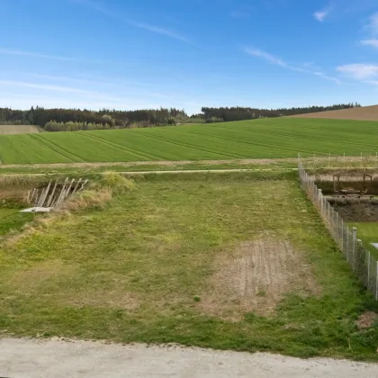 Doppelhaus Projekt auf ruhigem Baugrundstück in Pennewang/Wiesham! - Bild 3