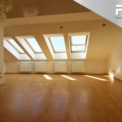 ROOFTOP LOFT  | lichtdurchfluteter, klimagekühlter Wohntraum mit freiem Mietzins - Bild 3