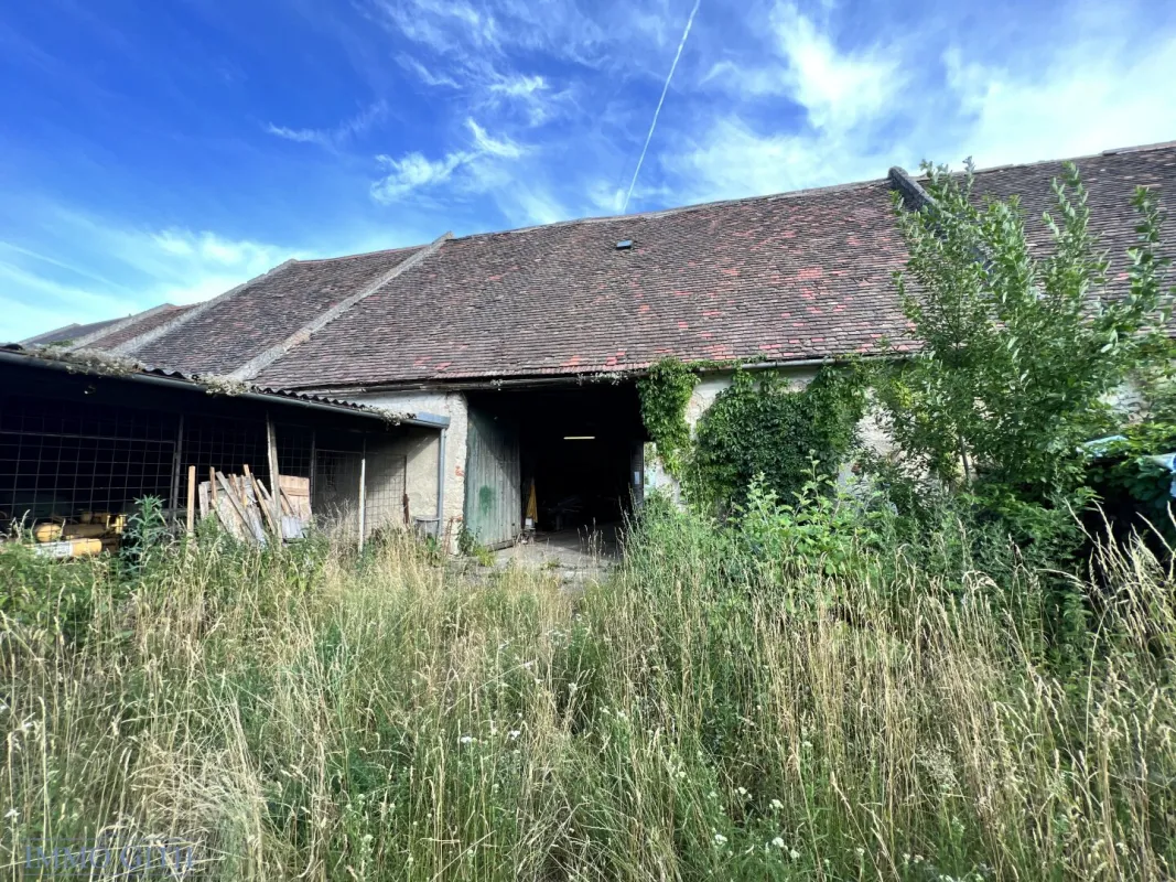 Ca. 770 m² (weitere Flächen auch möglich zu erwerben) Bau-Grundstück in Eisenstädter Zentrum-Best-Lage zu kaufen! - Bild 1