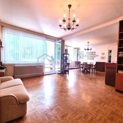 TOP-LAGE NAHE ROTER BERG!! Ruhig gelegene, lichtdurchflutete FAMILIENWOHNUNG – Auch trennbar! - Bild 2