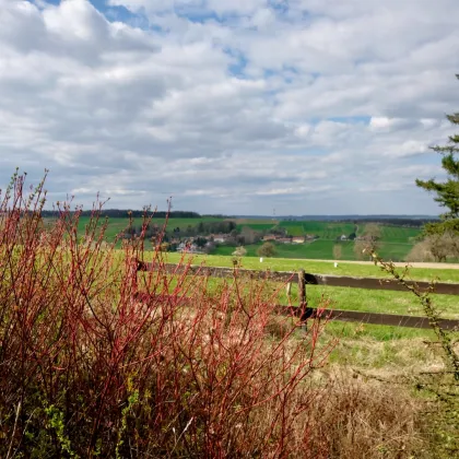 Grundstück mit toller Aussicht und Abbruchhaus - Bild 3