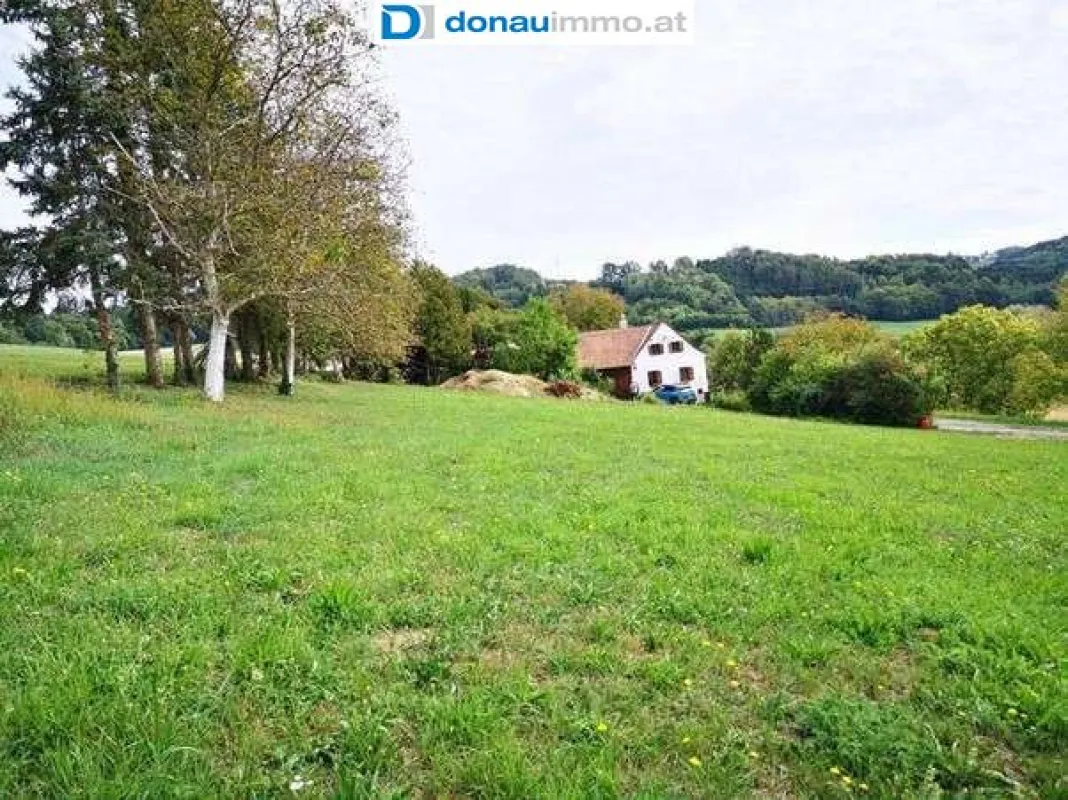 Dreikanthof mit diversen Möglichkeiten - Bild 1