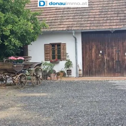 Dreikanthof mit diversen Möglichkeiten - Bild 2
