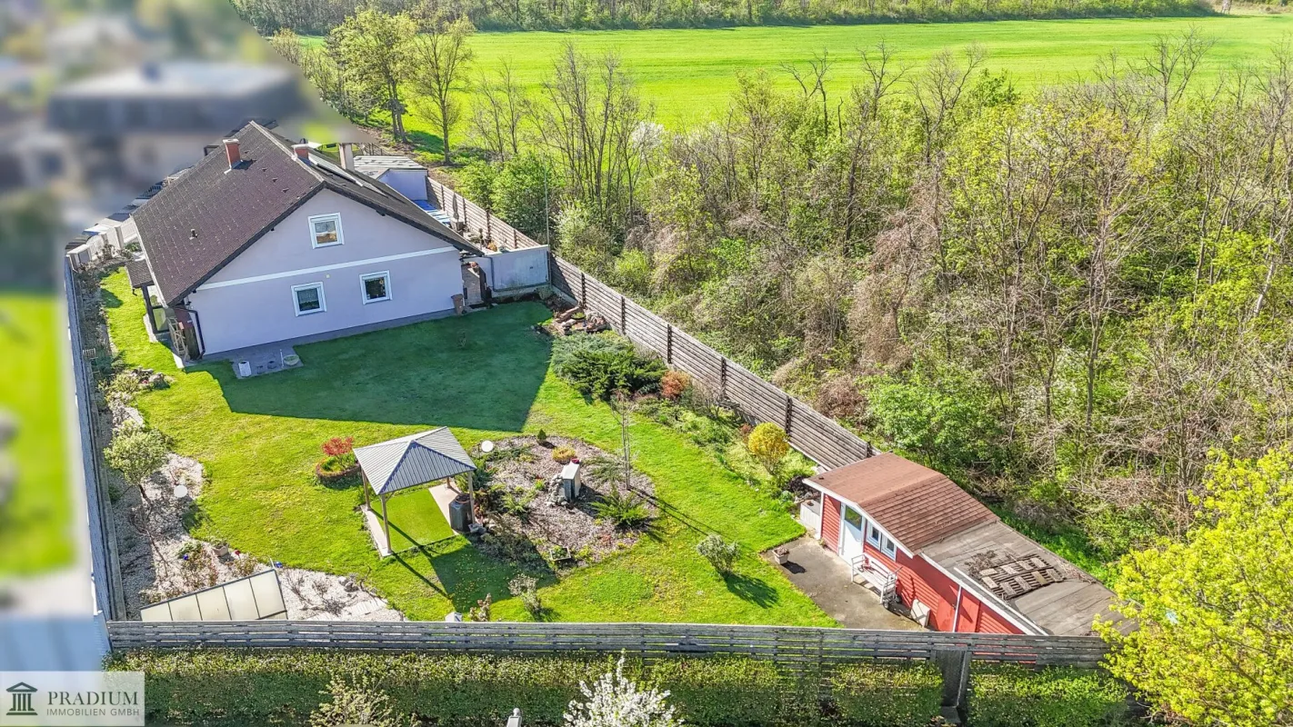 Wohnen im Grünen – Ihr neues Haus in Günselsdorf - Landhausstil inklusive! - Bild 1