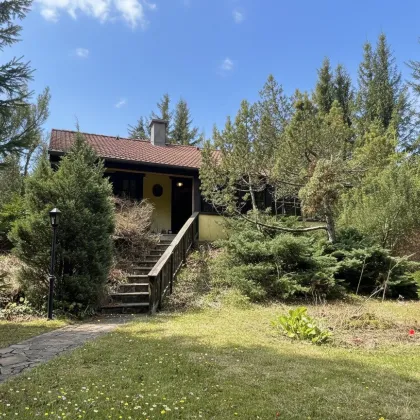 Ihr Rückzugsort im Grünen - Charmantes Haus auf 1.700 m2 Naturparadies direkt auf der Hohen Wand-Maiersdorf - Bild 2