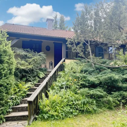 Ihr Rückzugsort im Grünen - Charmantes Haus auf 1.700 m2 Naturparadies direkt auf der Hohen Wand-Maiersdorf - Bild 3
