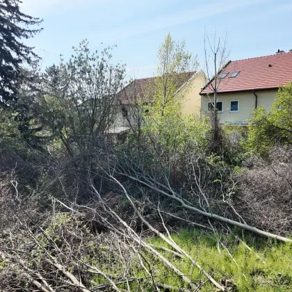 Grundstück in Perchtoldsdorf - Bauland Wohngebiet - Bild 3