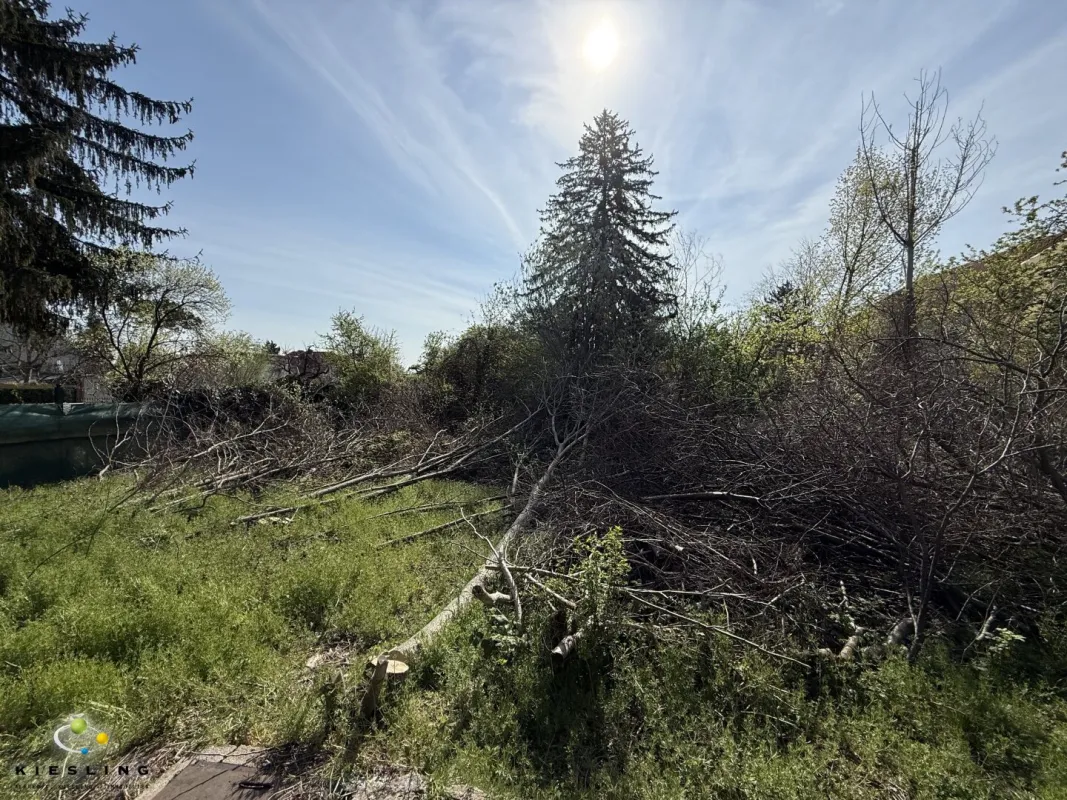 Grundstück in Perchtoldsdorf - Bauland Wohngebiet - Bild 1