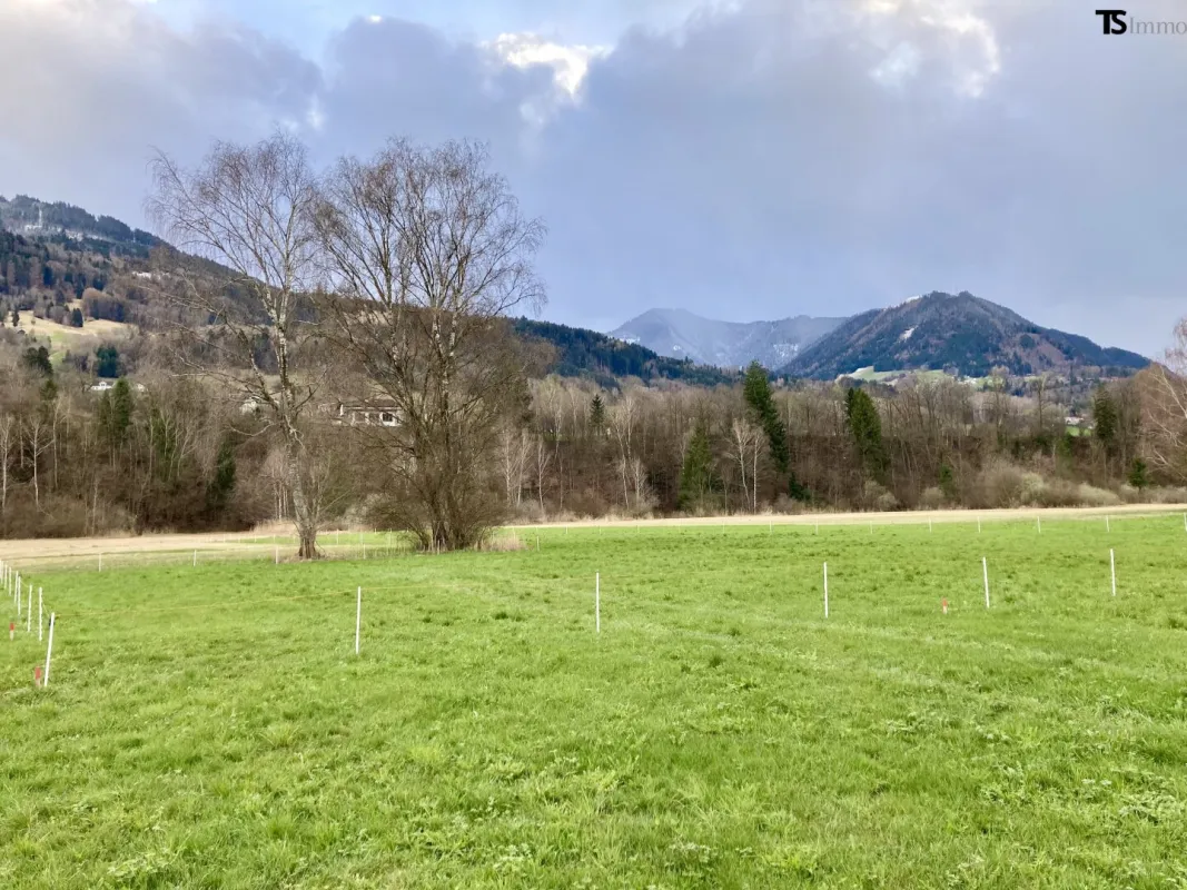 Nenzing Heimat: 600 m2 Sonnentraum mit Weitblick – Ihr Baugrundstück in Nenzing mit unverbaubarer Aussicht - Bild 1