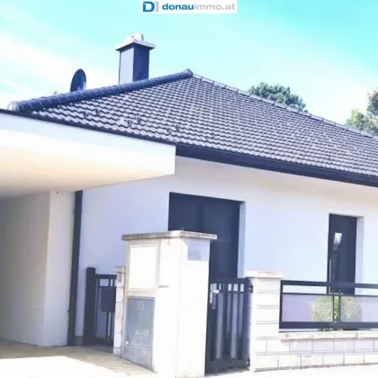 Neuwertiger Massivbungalow mit Pool, Gästehaus, Keller, Wintergarten in Guntramsdorf - Preis auf Anfrage - Bild 2