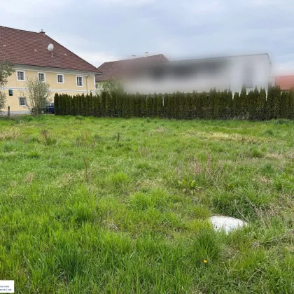 Baugrund in Breitbrunn - ländliche Gegend, perfekte Anbindung! Bei Hörsching und Linz. - Bild 2