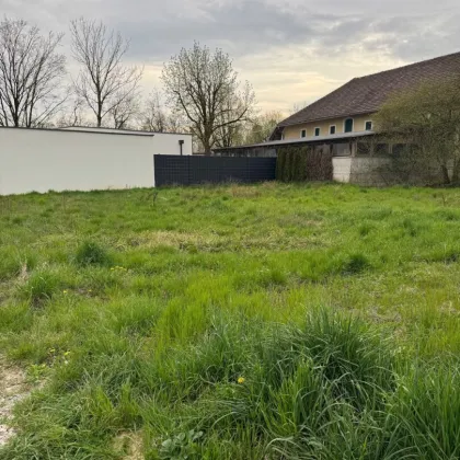 Baugrund in Breitbrunn - ländliche Gegend, perfekte Anbindung! Bei Hörsching und Linz. - Bild 3