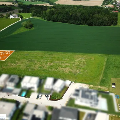 Baugrundstücke in Katsdorf / Ruhstetten – sonnige Lage, ideal für 1–3 Wohneinheiten je Parzelle - Bild 2