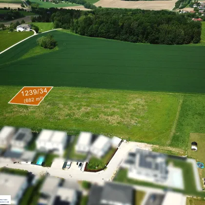 Baugrundstücke in Katsdorf / Ruhstetten – sonnige Lage, ideal für 1–3 Wohneinheiten je Parzelle - Bild 2